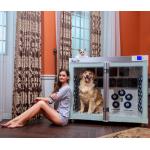 220V 2500W Pet Dryer Cage 6 Blowers Low Noise For Dog Grooming for sale