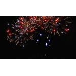 Chinese 25 Shots Fan Cake Fireworks For Celebration Custom Outdoor Fireworks for sale