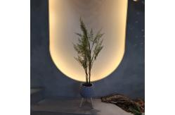 China Ultra Realistic Artificial Fern Tree - Lush Green UV Resistant Low Maintenance supplier