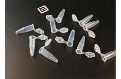 China Enzyme Kinetics 0.1 Ml PCR Tubes Polypropylene Microfuge Tubes supplier