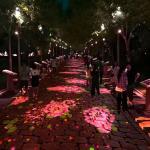 Outdoor Projector Interact Ground Lighting Interactive Floor Projection for sale