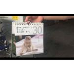 High Speed Wire O Machine Wire Spiral Binding Machine 330KG Weight