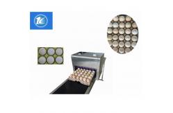 China High Output Egg Inkjet Coding Printer Automatically Updated For Time Characters supplier