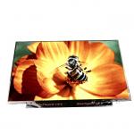 B140XTN03.9 AUO LCD 14 Inch  1366 * 768 LCD Laptop Display EDP 30 pins TFT Panel for sale