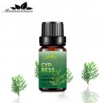 100% Pure Body Essential Oils Perfume 20ml Organic Cypress Essential Oil ODM for sale