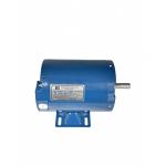 Induction AC motor for sale
