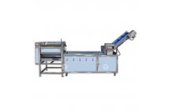 China Customized Citrus Fruit And Vegetable Processing Line Impurities Treatment Sewage Disposal supplier