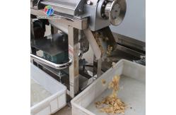 China Commercial Fruit And Vegetable Juicer Screw Single Screw Juicer supplier
