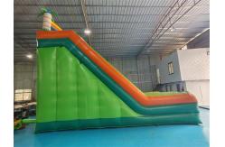 China Silk Printing Commercial Inflatable Dry Slide Outdoor Jumping Bouncer Slide supplier