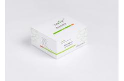 China CysC Glycosylated Hemoglobin Test Kit 0.2-8mg/L Cystatin C Test Kit supplier