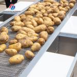 Automatic Vegetable Sorting Machine Selection Table Food Processor