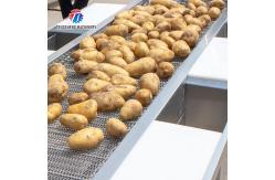 China Automatic Vegetable Sorting Machine Selection Table Food Processor supplier