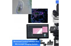 China Research Scientific Full Auto Motorized Opto-Edu Binocular Biological Microscope A12.1095 supplier