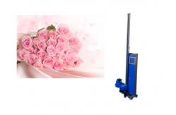 China Oem Zkmc 2880dpi 3d Automatic Vertical Wall Printer Direct Wall Painting Machine supplier