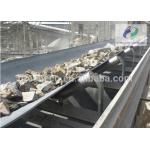 General Fixed Belt Conveyor Big Throughput For Block And Granular Material for sale