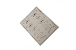 China PMU Permanent Makeup Tools / Tattoo Practice Skin Soft And Easy To Get Ink supplier