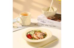 China Upgrade Your Tableware Collection With Ceramic Dinnerware Sets Includes Mug And Dishwasher Safe supplier