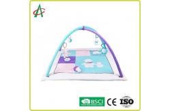 China 100% Polyester Washable Portable Baby Activity Play Gym Mat Infant Toddlers supplier