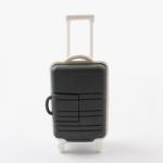 Suitcase Shapes PVC Open Mold Trunk USB Flash Drives 3D 2.0 3.0 512GB 1TB for sale