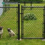 Nature Reserve Chain Link Fence Wildlife for sale