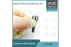 China L137PBD  Delphi Common Rail Nozzle For Injectors EJBR02401Z / 02901D supplier