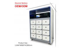 China 12KW IP53 Battery Swap Stations Charging Cabinet For Electric Vehicles supplier
