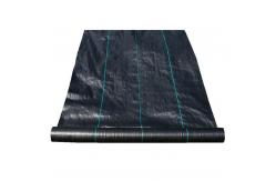 China Erosion Control PP Woven Geotextile Road Construction Fabric Alkali Resistant supplier