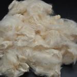 Breathable Soybean Protein Fiber Mild Flavor Organic Soy Bean Fibre for sale