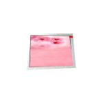 LS029B4DN01 2.9 inch 1440*1440 LCD Screen for sale