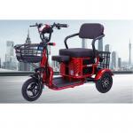 Cross Border Double Elderly Leisure Electric Tricycle Folding Electric Vehicle for sale