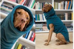 China OEM Windproof Waterproof Fleece Dog Coat Suit Machine Washable supplier