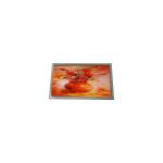 AM-800480STMQW-T09H 7.0 inch 800*480 WLED 280 cd/m2 LCD screen for sale