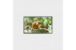China LCD Screen 43 Inch LCD Panel 1500nits resolutiong 1920*1080 LCMA-RX0430GL10-C150 supplier