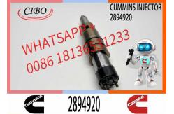 China Neutral fuel Injector 5579415 2894920 2872405 for Cum-mins ISX15 QSX15 supplier