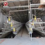 Q235 Battery Cages Laying Hens Chicken Farming Materials A Type for sale