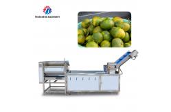 China Customizable Fruit And Vegetable Packaging Machine for Silver Packaging Needs supplier