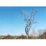 Stainless Steel Tree Sculpture Withered , Outdoor Metal Tree Sculpture Garden for sale