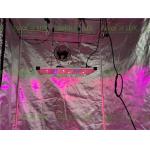Quantum Board 240Watt Tent 2x2 Led Grow Light