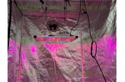 China Quantum Board 240Watt Tent 2x2 Led Grow Light supplier