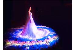 China Custom Interactive Hologram Display , 3D Hologram Screen For Advertising supplier