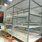Galvanized 380V 120/150 Broiler Chicken Cage For Poultry SGS Certificated for sale