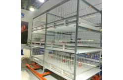 China Galvanized 380V 120/150 Broiler Chicken Cage For Poultry SGS Certificated supplier
