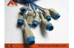 China 8 Pin Patient Monitor Accessories Philips Spo2 Cable 12 Pin supplier