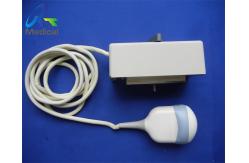 China Wideband Convex Realtime 4D Array Ultrasound Transducer Probe GE RAB4-8L supplier