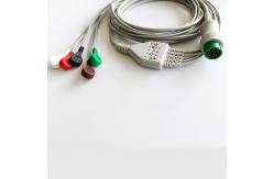 China A8 Encrypt 5 Leads Biolight Ecg Patient Cable BLT Qseries Round 12pin supplier
