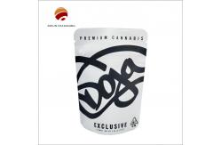 China Custom Printed Moisture Proof Flexible Packaging  Stand Up Style supplier