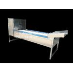 600Pcs/Min 50mm Diameter Fruit Off Core Cutting Machine