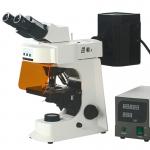 Fluorescence Microscope for sale