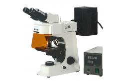 China Fluorescence Microscope supplier