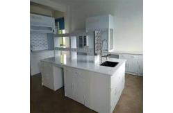 China Durable Chemistry Lab Furniture Customizable and Long Lasting supplier